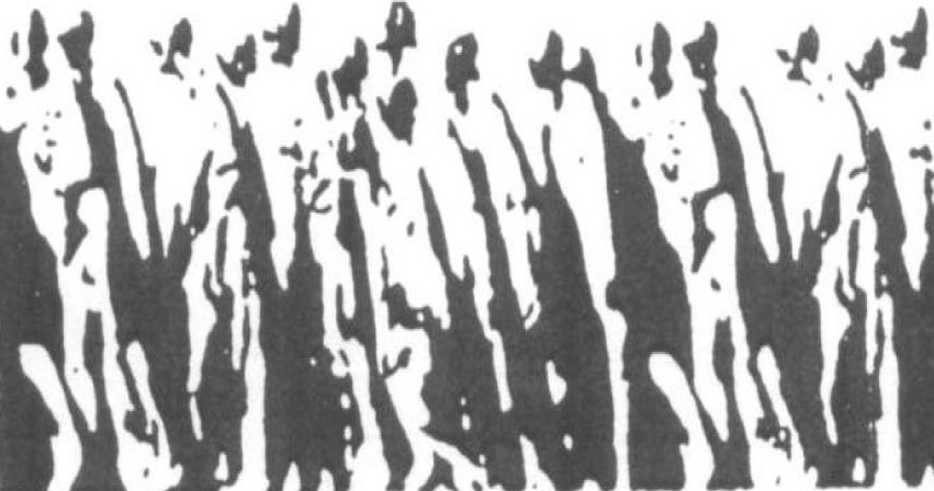 Logo Gedenken-im-Würmtal